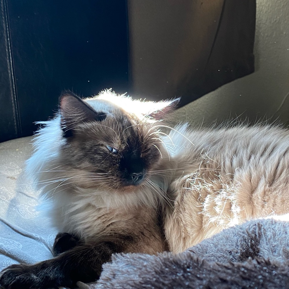 Meet your Posher, Krystalee